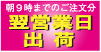 朝10時までのご注文は当日出荷